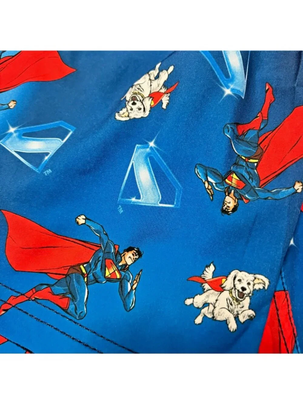 DC Superman Krypto Swim Trunks Board Shorts Boys Sz 4/5 NWT